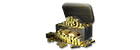 2000 + 260 Gold