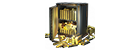 5000 + 800 Gold
